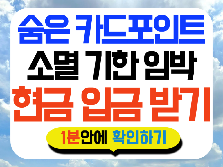 숨은 카드포인트 통합조회 썸네일